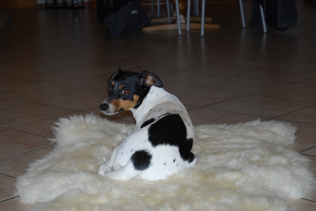 DSC_0054.JPG