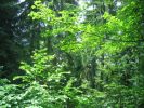IMG_1674.JPG