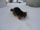 IMG_3183.JPG