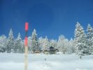 IMG_3450.JPG