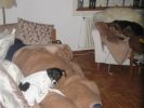 IMG_5128.JPG
