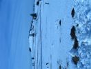 IMG_3666.JPG