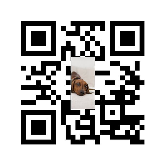 qrcode dog